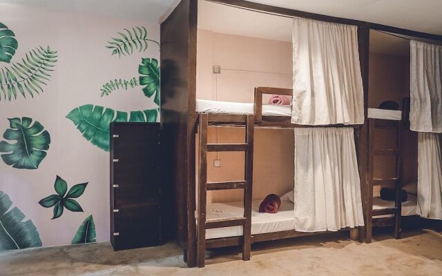 Coco Pod Siargao Hostel