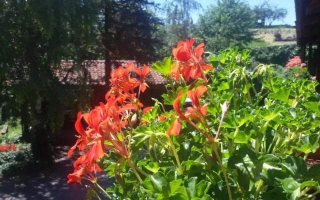 La Collina dei Passeri