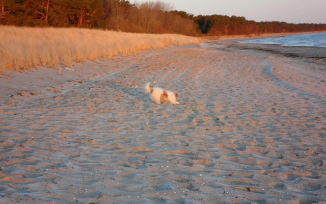Zum-Luetten-Leuchtturm
