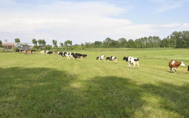 Agriturismo Cascina Selva
