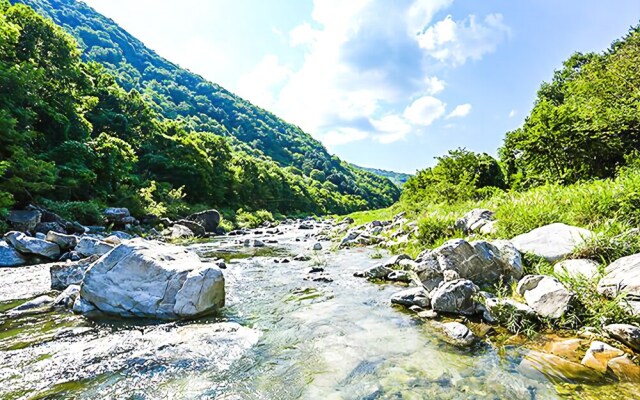 Gapyeong Il Mare Pension
