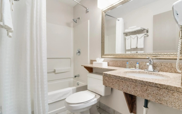 American Inn Suites Detroit Metro Airport