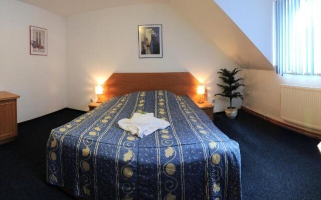 Wellness Hotel Svoboda