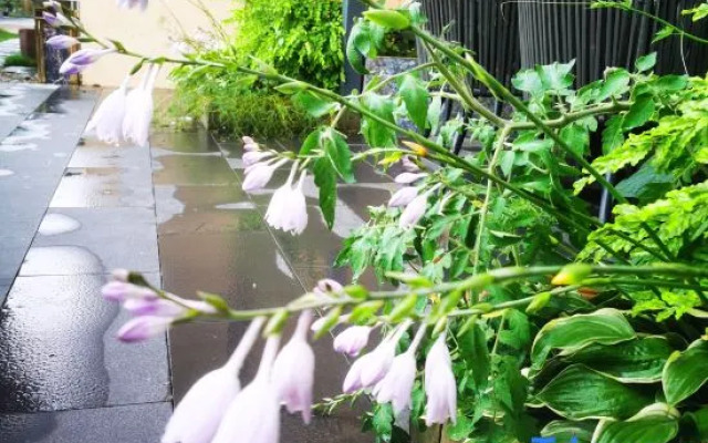 Jiangjin Jiangyinyi Residential Residence