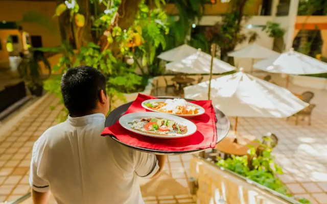 Maya Tulipanes Express