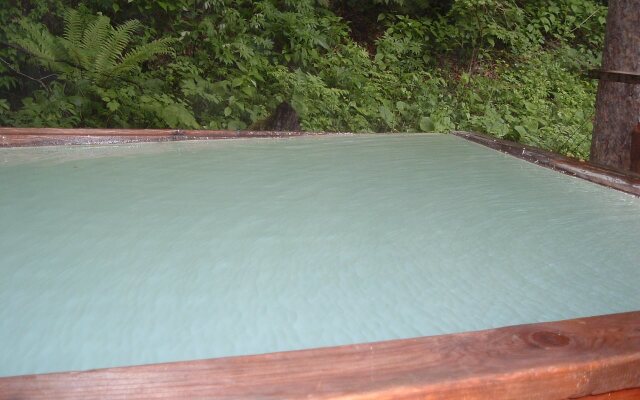 Onsen Inn 36So