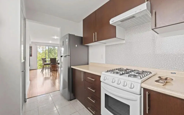 Spacious Apt Near Centro Historico