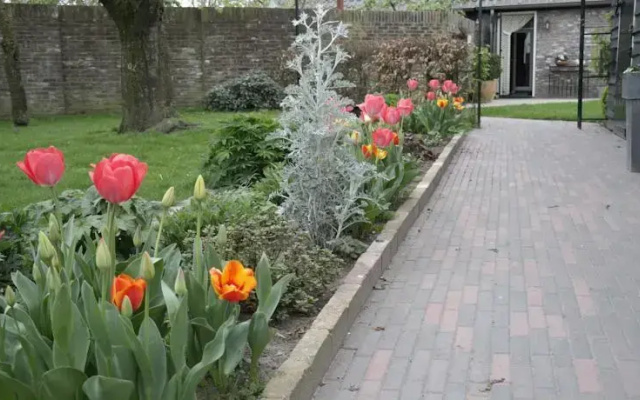 Onder de Bomen