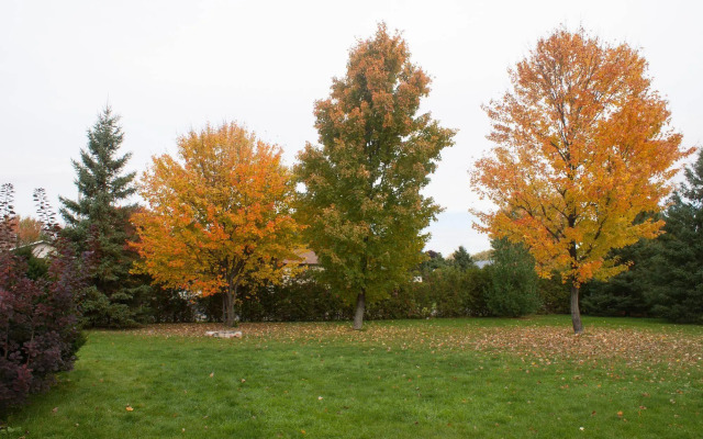 High Trees Bed & Breakfast
