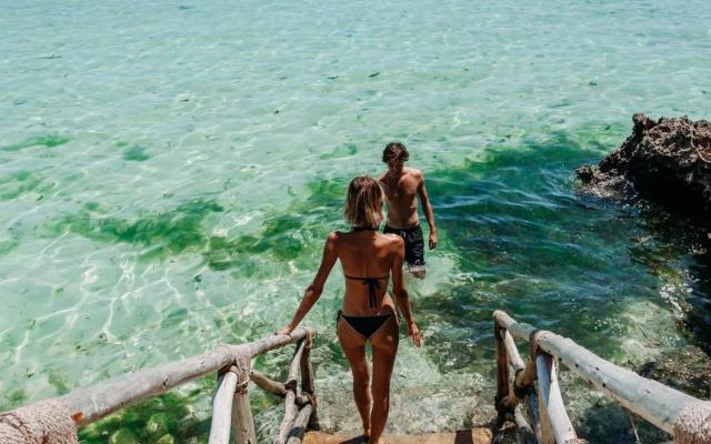 The Island - Pongwe Lodge - Adults Only