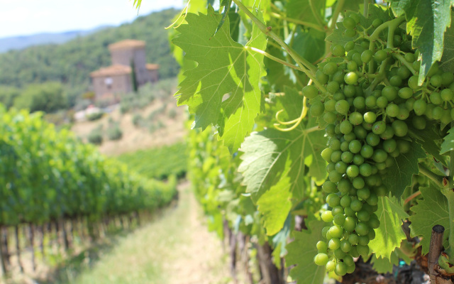 Marangole 12 in Radda in Chianti