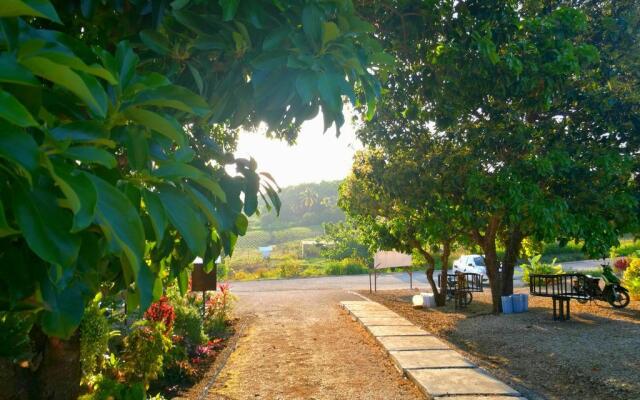 Alta Bohol Garden Resort