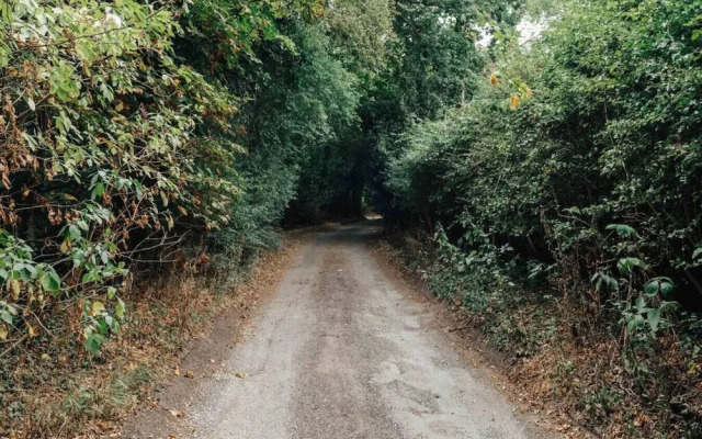 The Woodlands in Kidmore End