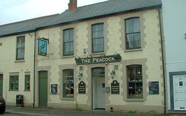 The Peacock