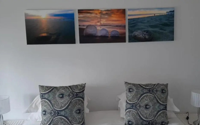 Sand Dollar @ The Dunes