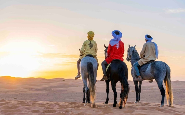 Desert Domes Camp