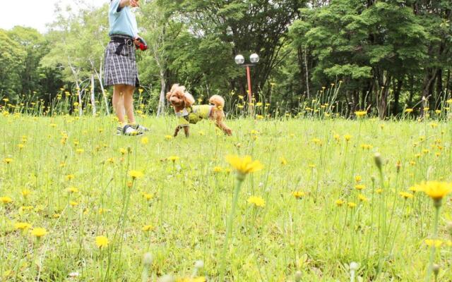 Kurohime Kogen Hotel