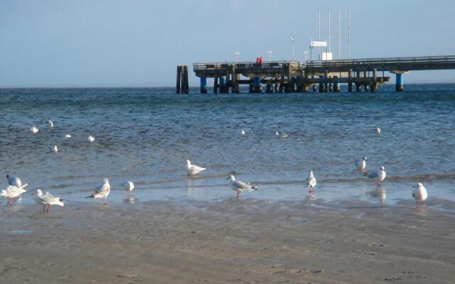 Strandläufer - [#29764]