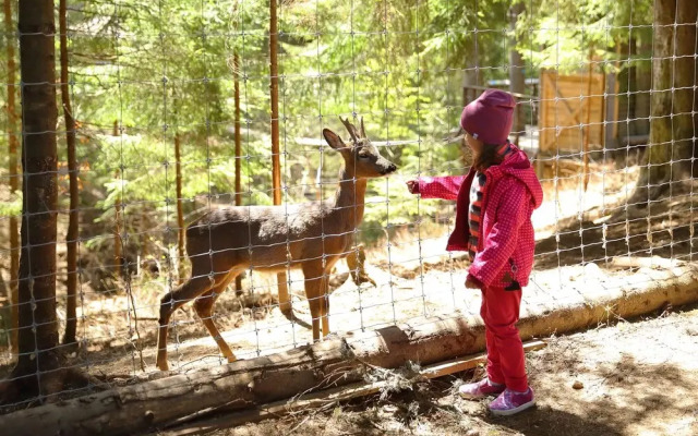 Отель «Буковель»