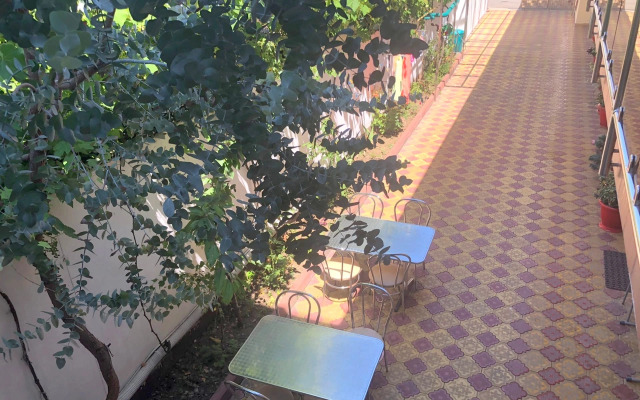 Delfinchik Guesthouse