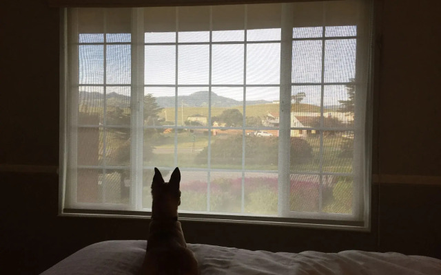 The Morgan Hotel San Simeon