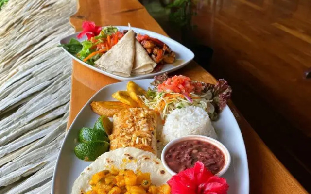 Copa De Arbol Beach & Rainforest Resort