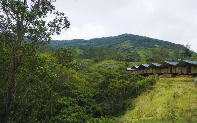 Wild Glamping Knuckles