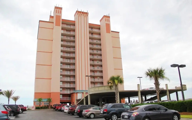 Royal Palms 806NS by RedAwning