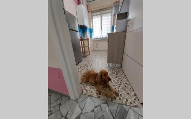 Appartamento ALLEGRO