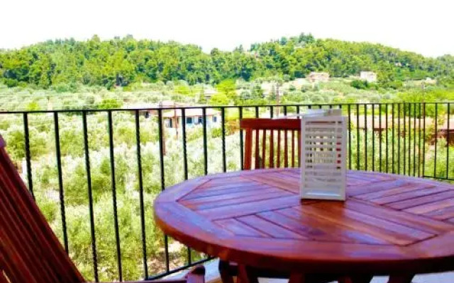 Olive Tree Apartments