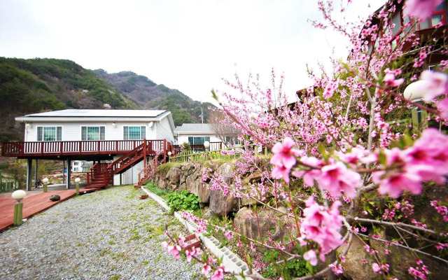 Jiri Hadong Greennarae Pension