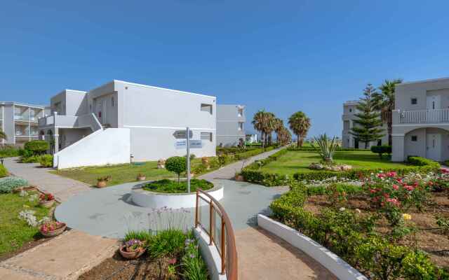 Delfina Tropic Beach