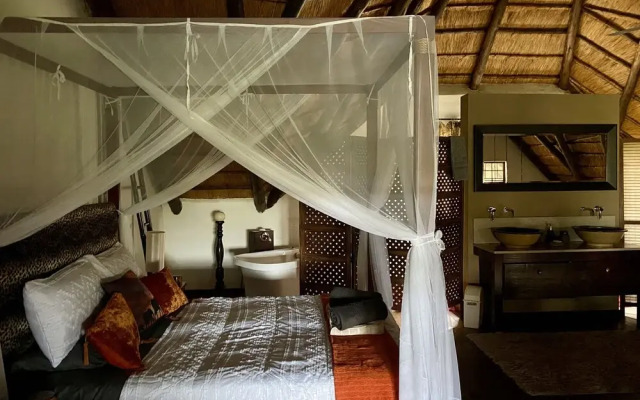 Rhinos Rest