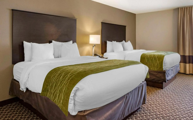 Comfort Inn Wings Stadium
