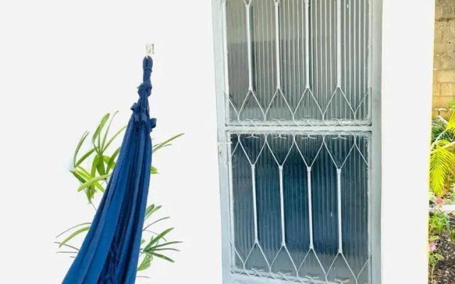 Carvalho de Paquetá