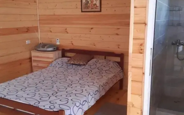 Zvezdnoye Nebo Guest House