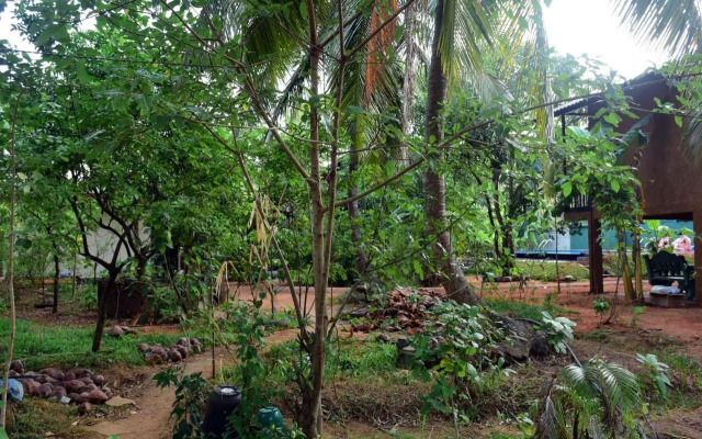 Sun and Green Eco Lodge