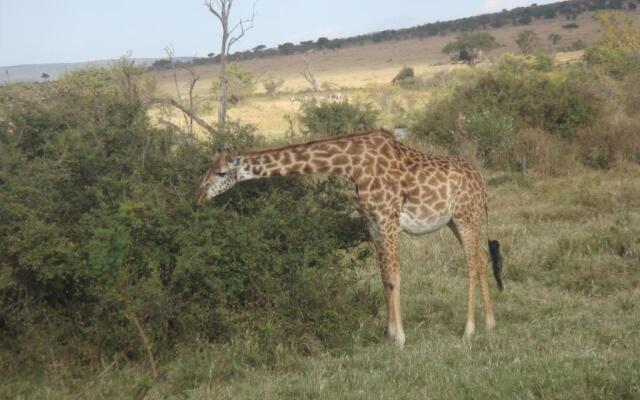 Enchoro Wildlife Camp