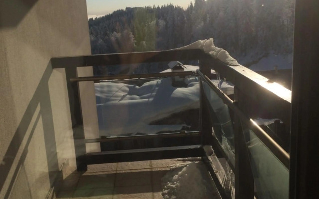 Stenata Huge Ski To Door Apartment