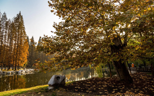 Oldtimes Youth Hostel