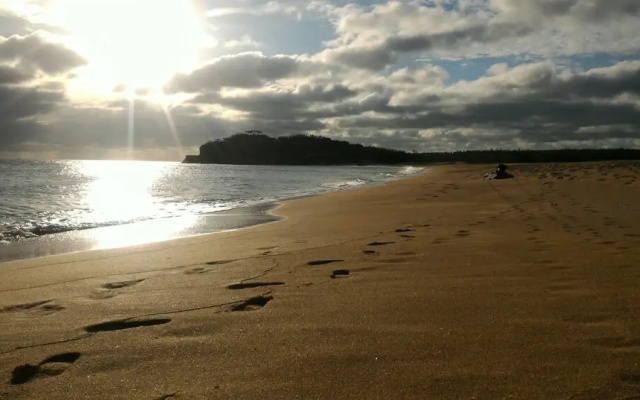 Landscape Coast