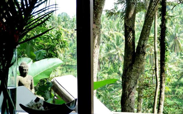 Green Spirit Villa
