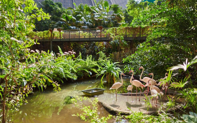 Tropical Islands