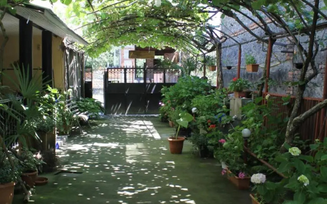 The Kiwi House