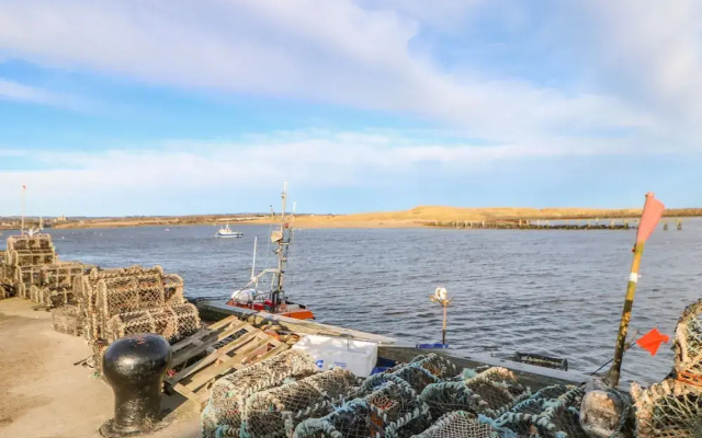 Lower Driftwood