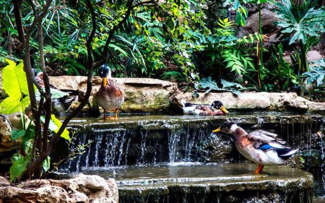 Hacienda Forest View Hotel