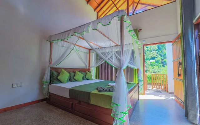 Rain Forest Vibe Sinharaja