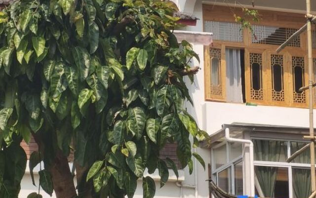 Tengchong Jinshuiwan No.9 B&B