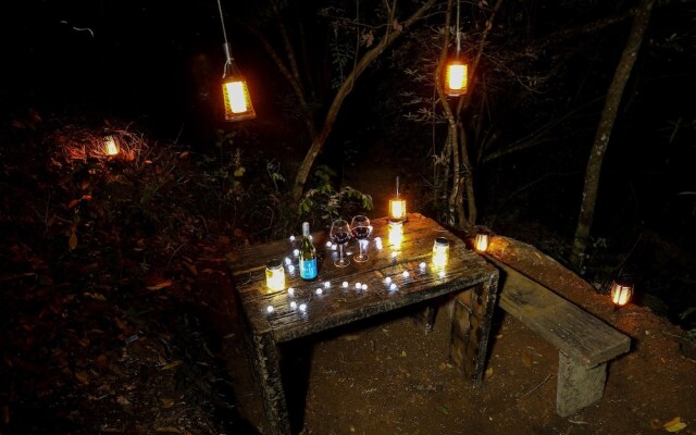 Treehouse Chalets