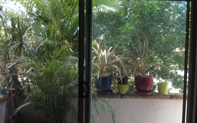 Cozy Marrickville Apartment Near Centre